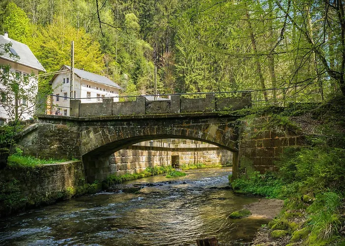 Apartment Mit Sauna & Gartenblick Neustadt in Sachsen